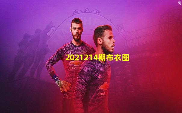 2021214期布衣图