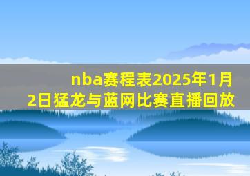 nba赛程表2025年1月2日猛龙与蓝网比赛直播回放