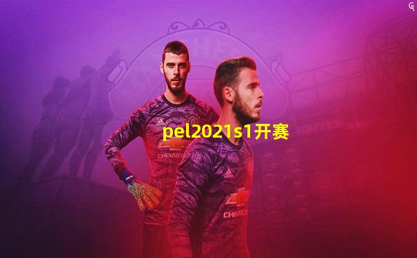 pel2021s1开赛