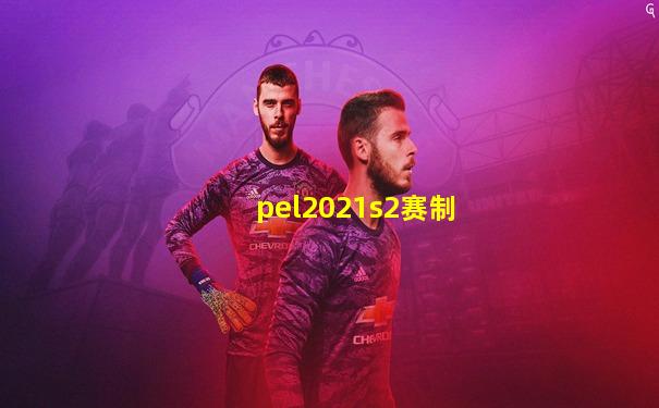 pel2021s2赛制