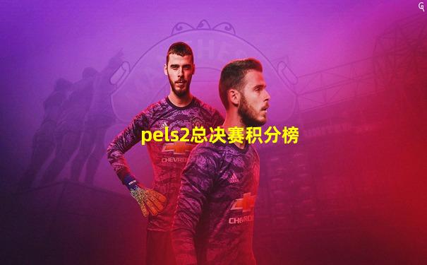 pels2总决赛积分榜