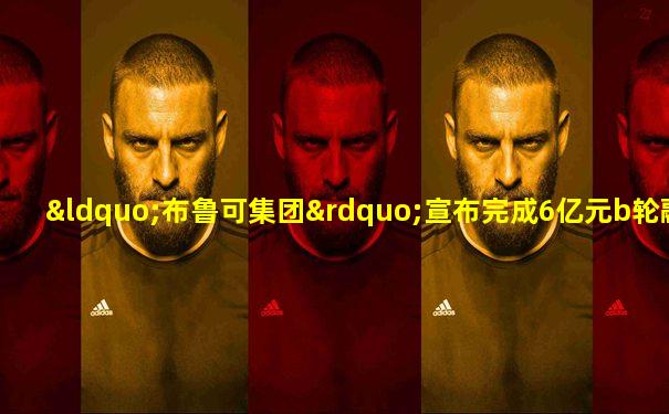 “布鲁可集团”宣布完成6亿元b轮融资