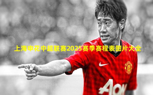 上海申花中超联赛2025赛季赛程表图片大全