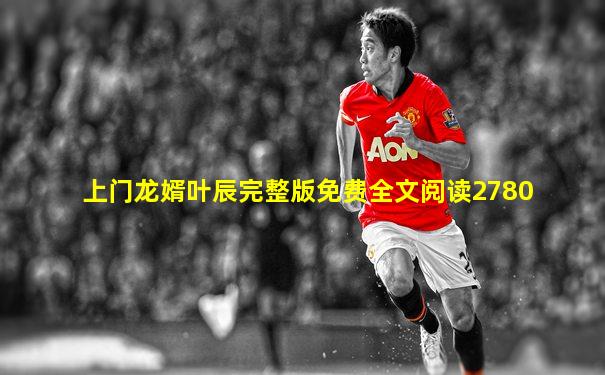 上门龙婿叶辰完整版免费全文阅读2780