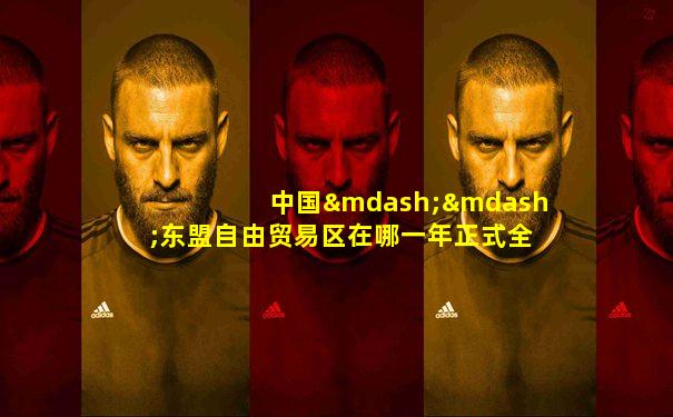 中国——东盟自由贸易区在哪一年正式全面启动