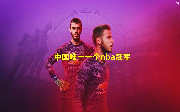 中国唯一一个nba冠军