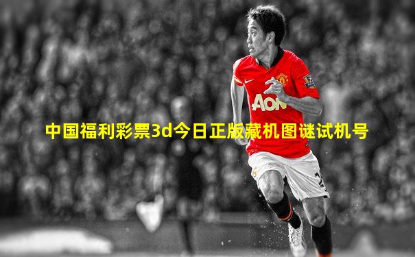 中国福利彩票3d今日正版藏机图谜试机号