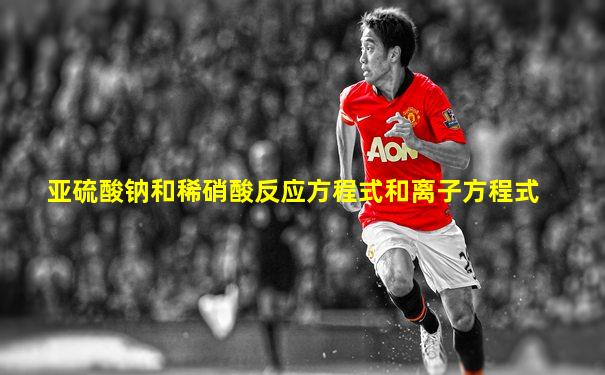 亚硫酸钠和稀硝酸反应方程式和离子方程式