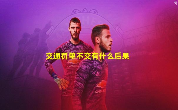 交通罚单不交有什么后果