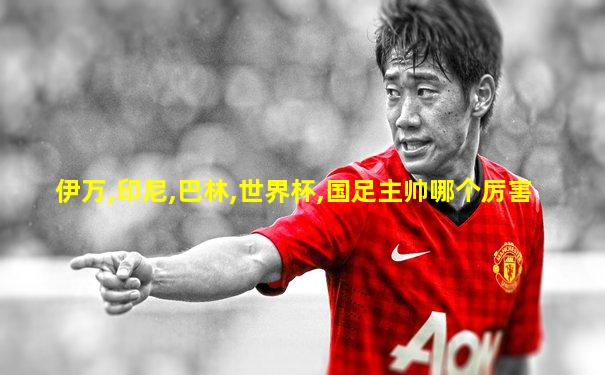 伊万,印尼,巴林,世界杯,国足主帅哪个厉害