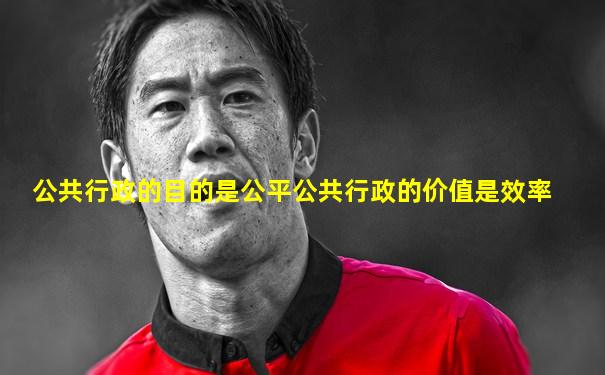 公共行政的目的是公平公共行政的价值是效率