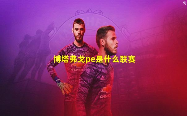 博塔弗戈pe是什么联赛