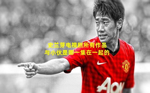 史兰芽电视剧所有作品与小伙是哪一集在一起的