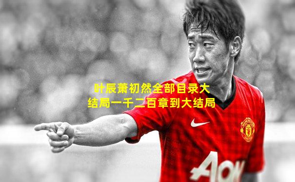 叶辰萧初然全部目录大结局一千二百章到大结局