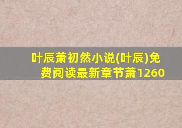 叶辰萧初然小说(叶辰)免费阅读最新章节萧1260