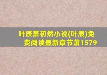 叶辰萧初然小说(叶辰)免费阅读最新章节萧1579