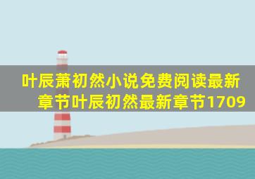 叶辰萧初然小说免费阅读最新章节叶辰初然最新章节1709