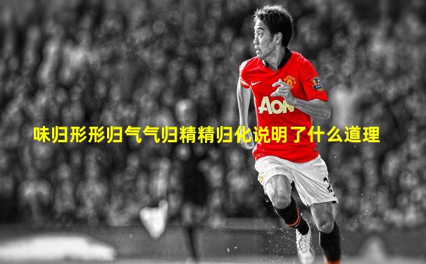 味归形形归气气归精精归化说明了什么道理