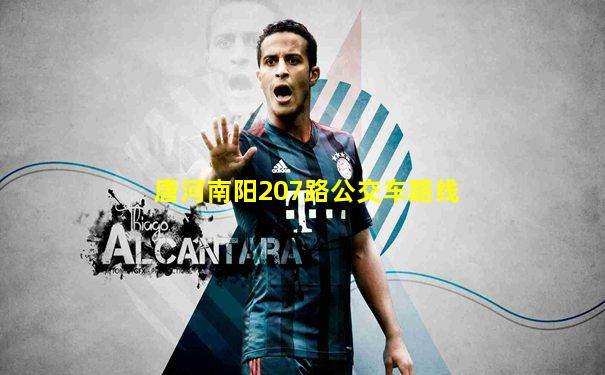 唐河南阳207路公交车路线