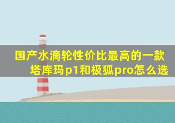 国产水滴轮性价比最高的一款塔库玛p1和极狐pro怎么选