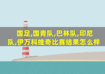 国足,国青队,巴林队,印尼队,伊万科维奇比赛结果怎么样