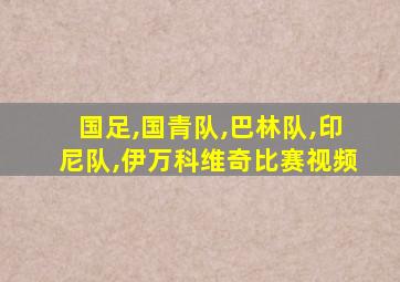 国足,国青队,巴林队,印尼队,伊万科维奇比赛视频