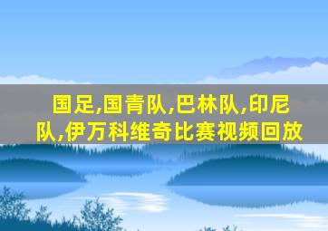 国足,国青队,巴林队,印尼队,伊万科维奇比赛视频回放