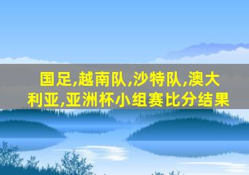 国足,越南队,沙特队,澳大利亚,亚洲杯小组赛比分结果