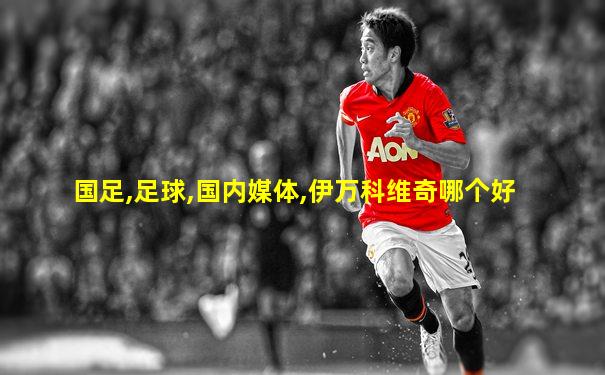 国足,足球,国内媒体,伊万科维奇哪个好