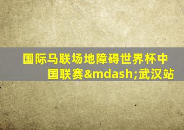 国际马联场地障碍世界杯中国联赛—武汉站