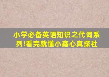 小学必备英语知识之代词系列!看完就懂小鑫心真探社