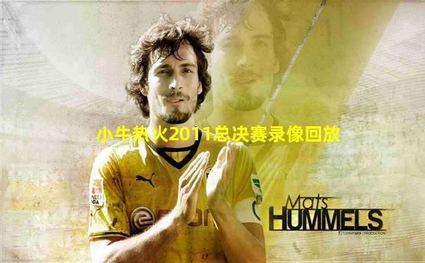 小牛热火2011总决赛录像回放