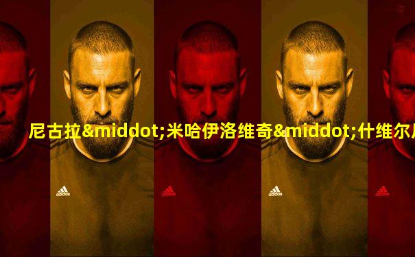 尼古拉·米哈伊洛维奇·什维尔尼克