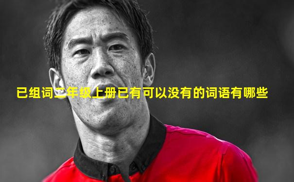 已组词二年级上册已有可以没有的词语有哪些
