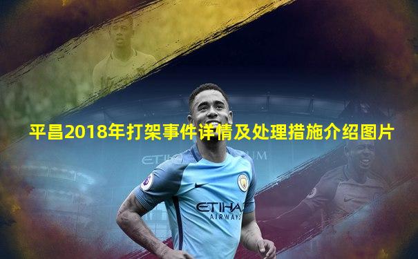 平昌2018年打架事件详情及处理措施介绍图片