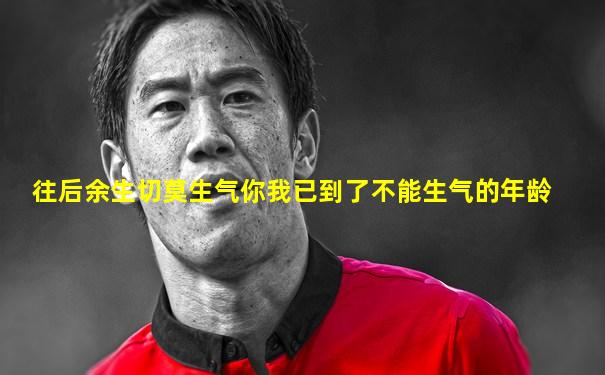 往后余生切莫生气你我已到了不能生气的年龄