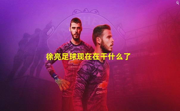 徐亮足球现在在干什么了