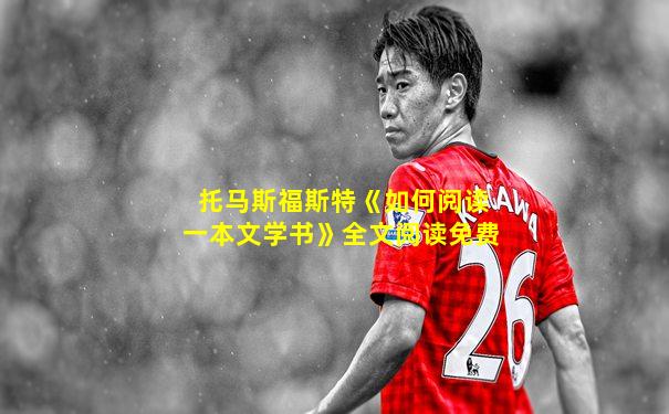 托马斯福斯特《如何阅读一本文学书》全文阅读免费