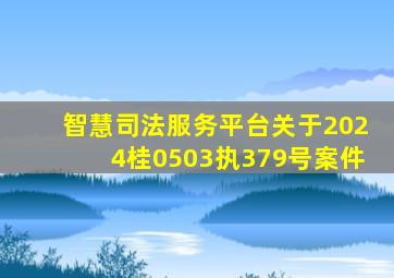 智慧司法服务平台关于2024桂0503执379号案件
