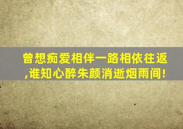 曾想痴爱相伴一路相依往返,谁知心醉朱颜消逝烟雨间!