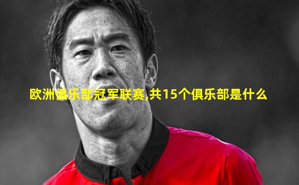 欧洲俱乐部冠军联赛,共15个俱乐部是什么