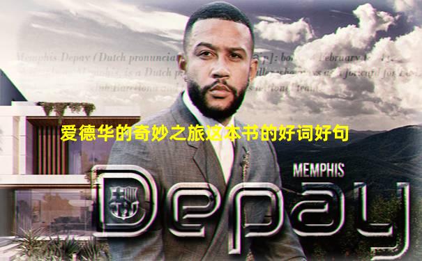 爱德华的奇妙之旅这本书的好词好句