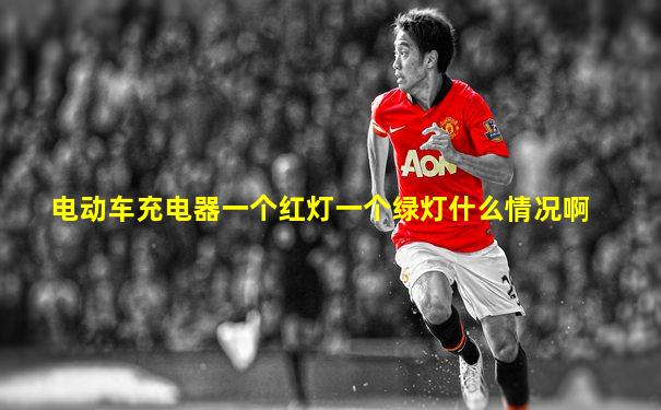 电动车充电器一个红灯一个绿灯什么情况啊