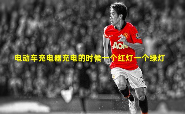 电动车充电器充电的时候一个红灯一个绿灯