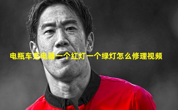 电瓶车充电器一个红灯一个绿灯怎么修理视频