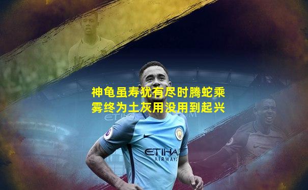 神龟虽寿犹有尽时腾蛇乘雾终为土灰用没用到起兴