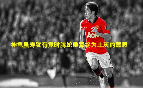 神龟虽寿犹有竟时腾蛇乘雾终为土灰的意思