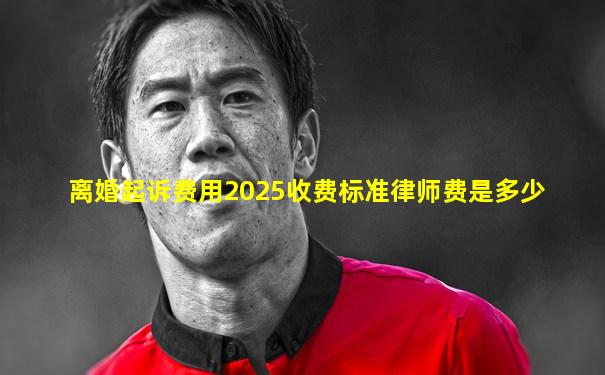 离婚起诉费用2025收费标准律师费是多少