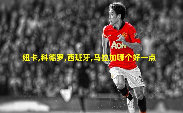 纽卡,科德罗,西班牙,马拉加哪个好一点