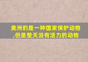美洲豹是一种国家保护动物,但是整天没有活力的动物